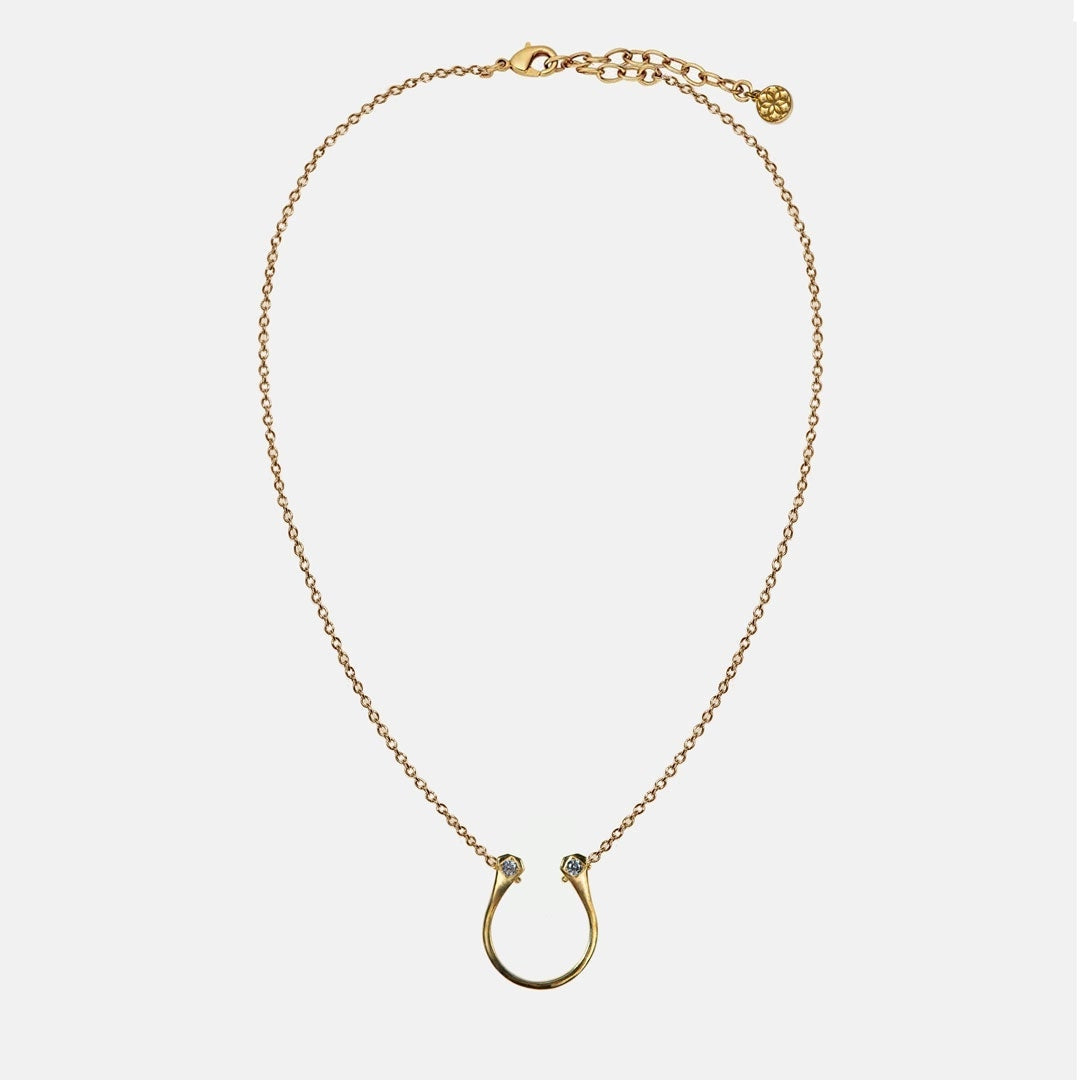 Charmed Horseshoe Necklace