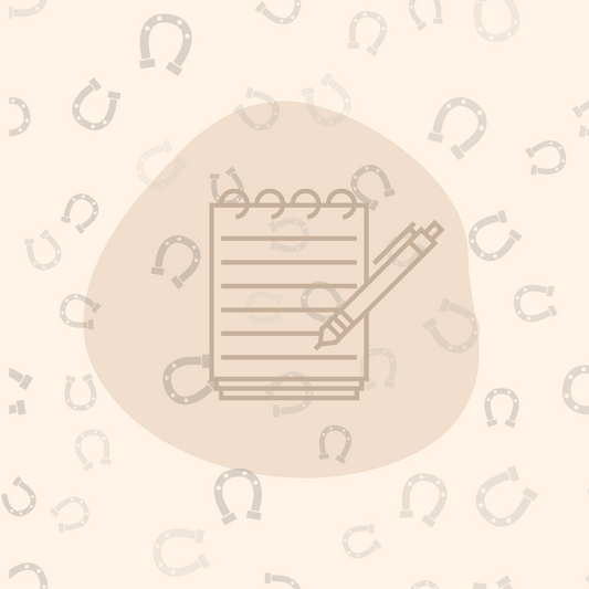 Saddle Fitting in depth Consultation (20 min)