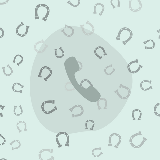 Saddle Fitting Initial Phone Consult (10 min)