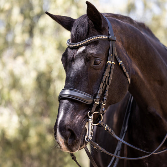 Birmingham Non-Patent Black Leather Double Bridle