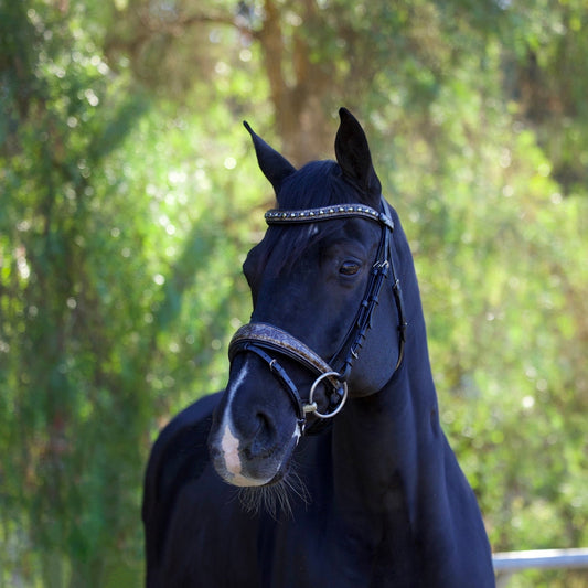Baroque Snaffle Bridle - Black Padding