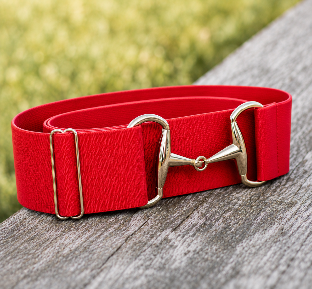 The Novella Team Snaffle Belt.