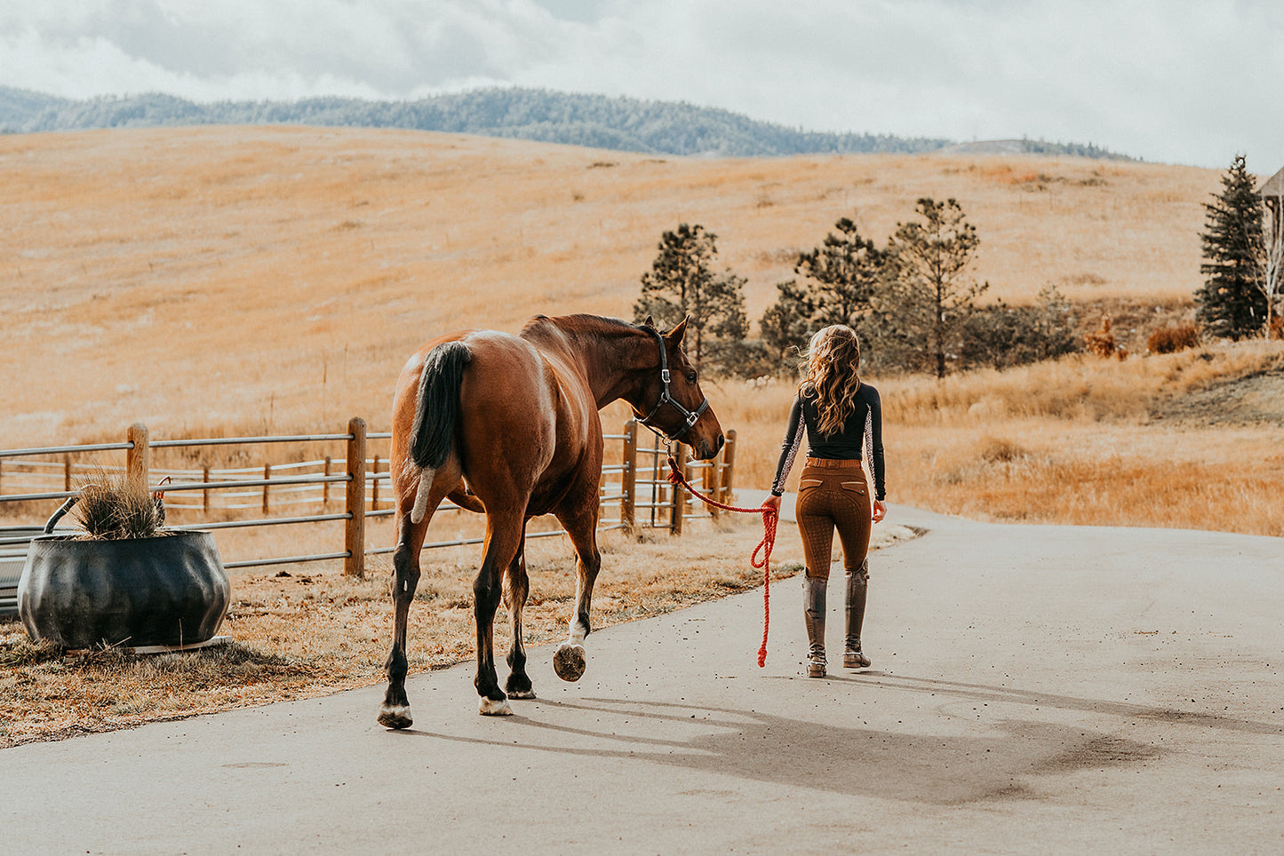Full Seat Breeches - Butterscotch