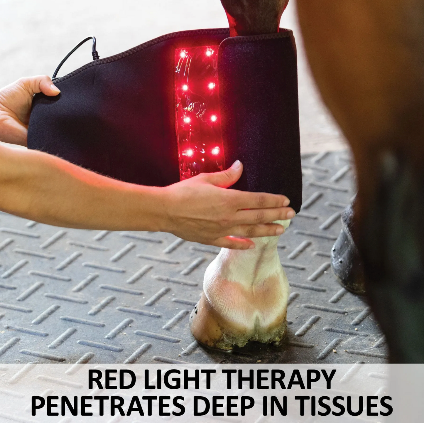 EquiCare LED Therapy® Red Light - Equine Kit And Pairs
