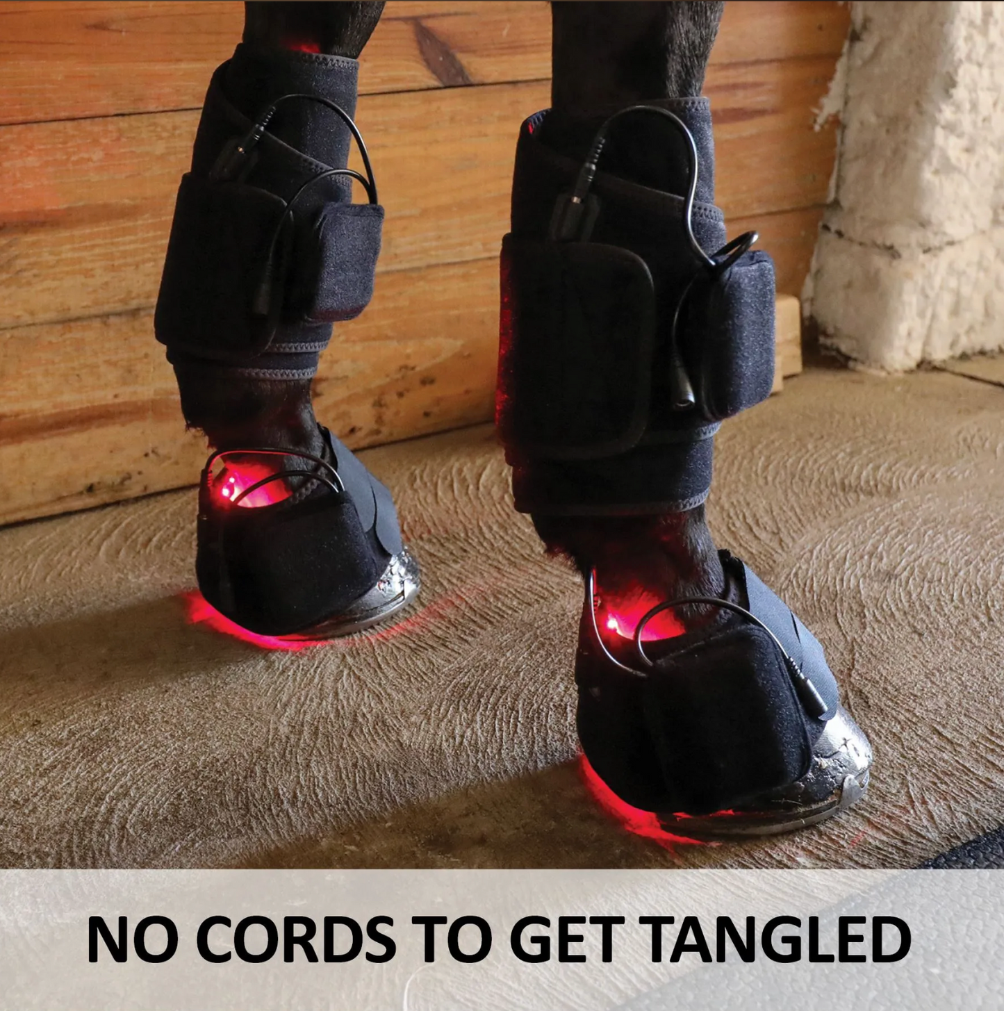 EquiCare LED Therapy® Red Light - Equine Kit And Pairs
