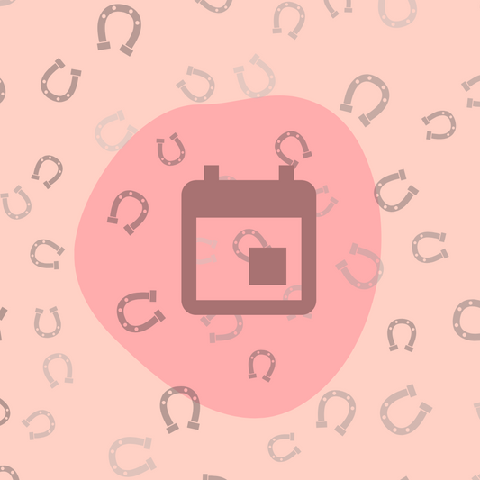 Virtual Saddle Fitting (75 min)