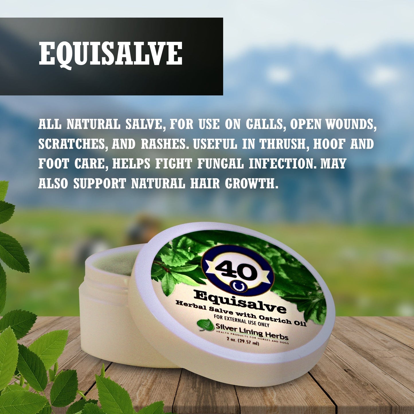 Equisalve For Horses