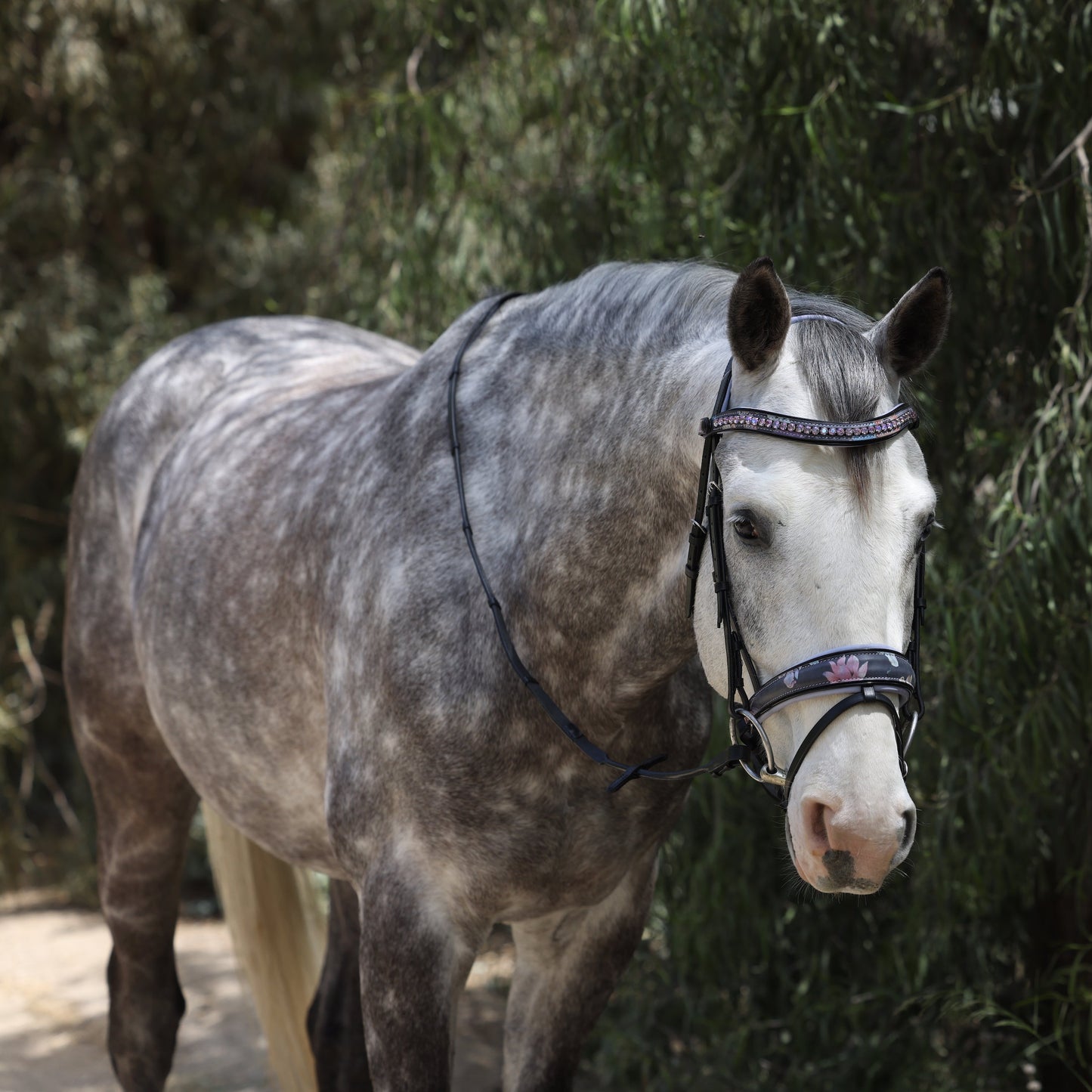 Fleur Snaffle Bridle - Lavender Padding