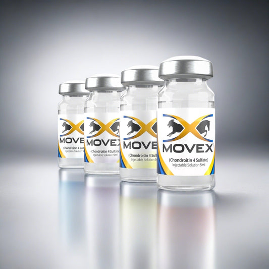 Horse Joint and Mobility IM by Movex