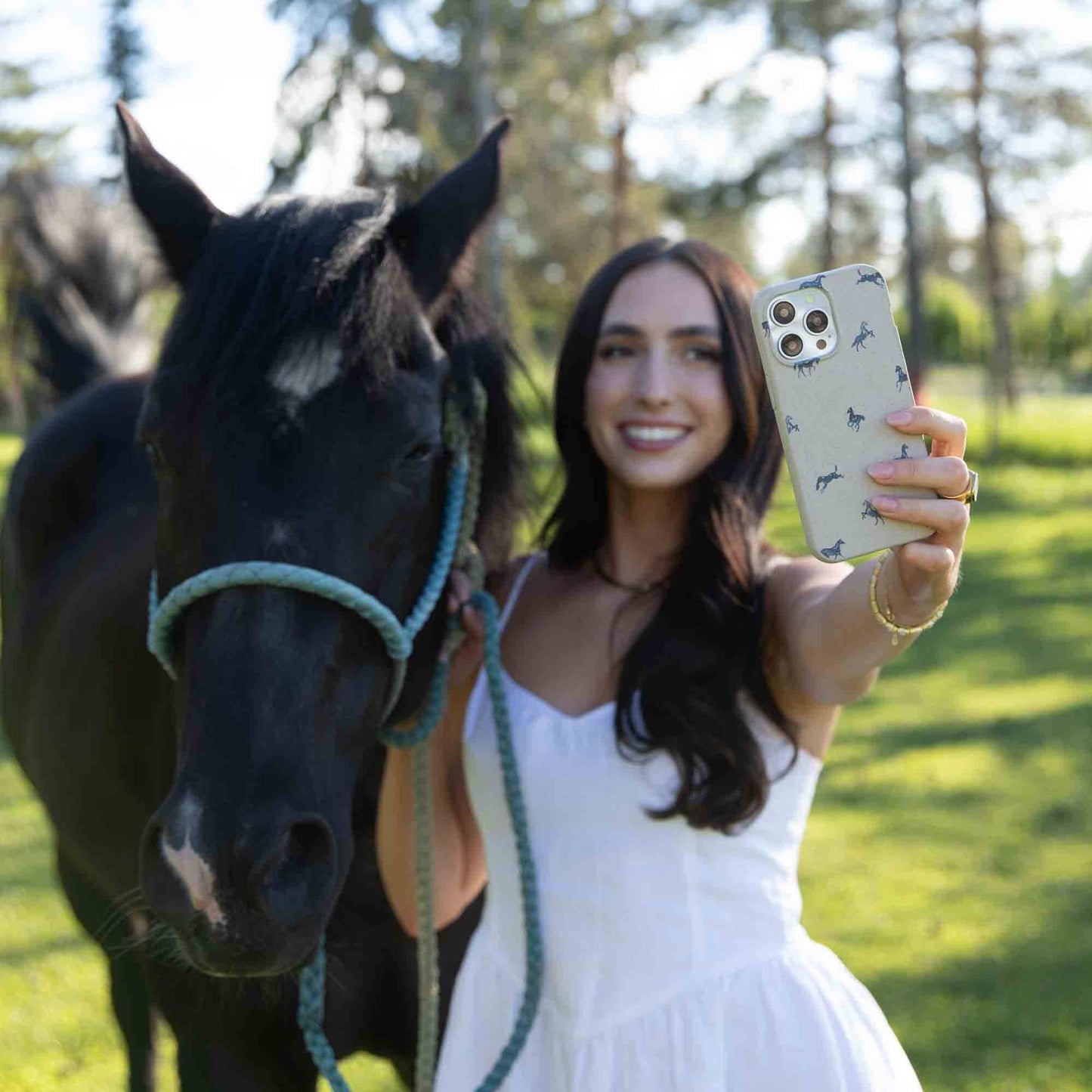 London Fog Mini Horses iPhone 15 Plus Case