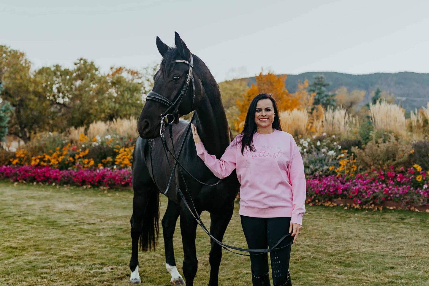 My Horse Is the Prettiest Sweater