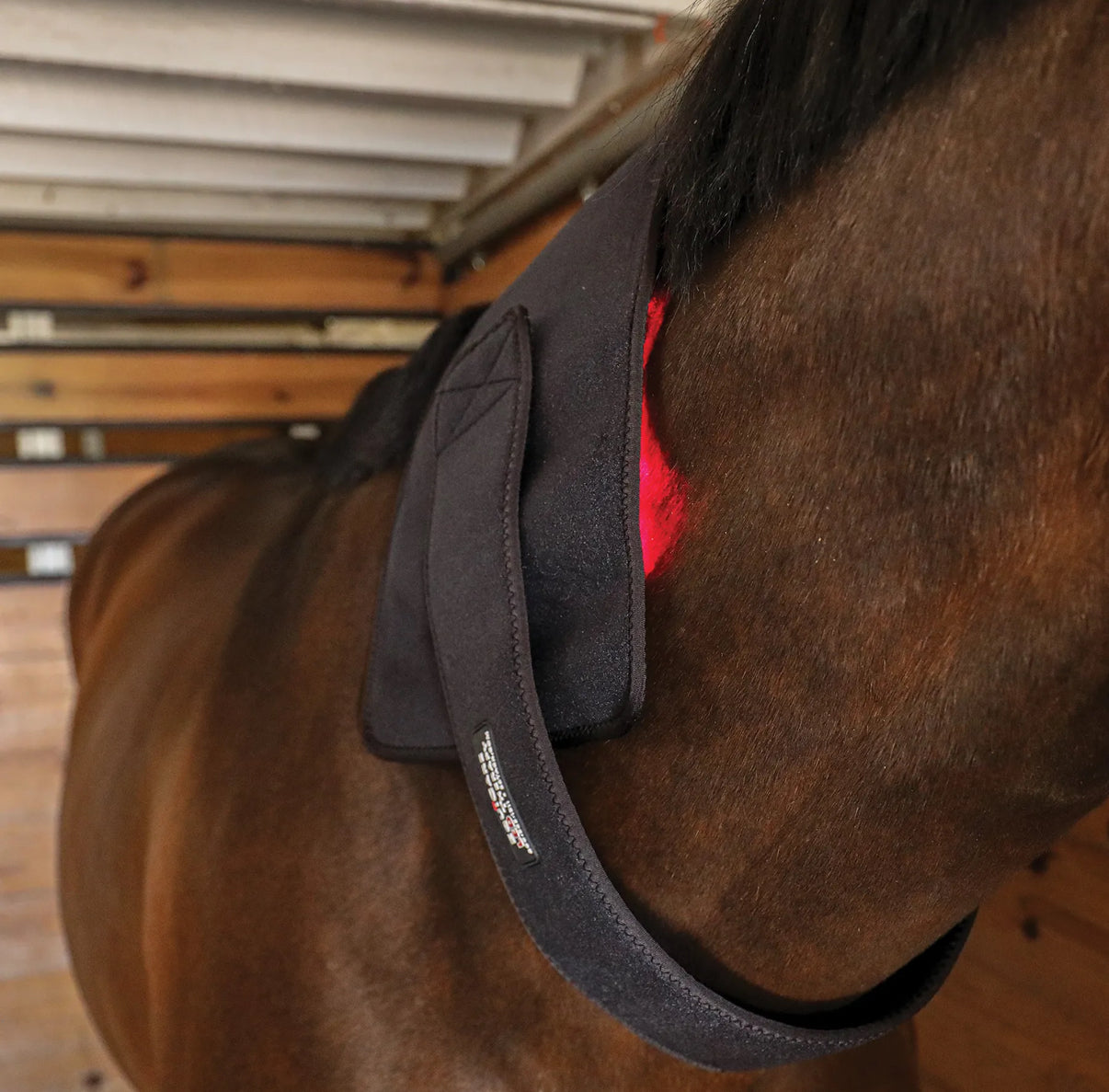 Schneiders® EquiCare LED Therapy® Red Light - Single Wraps