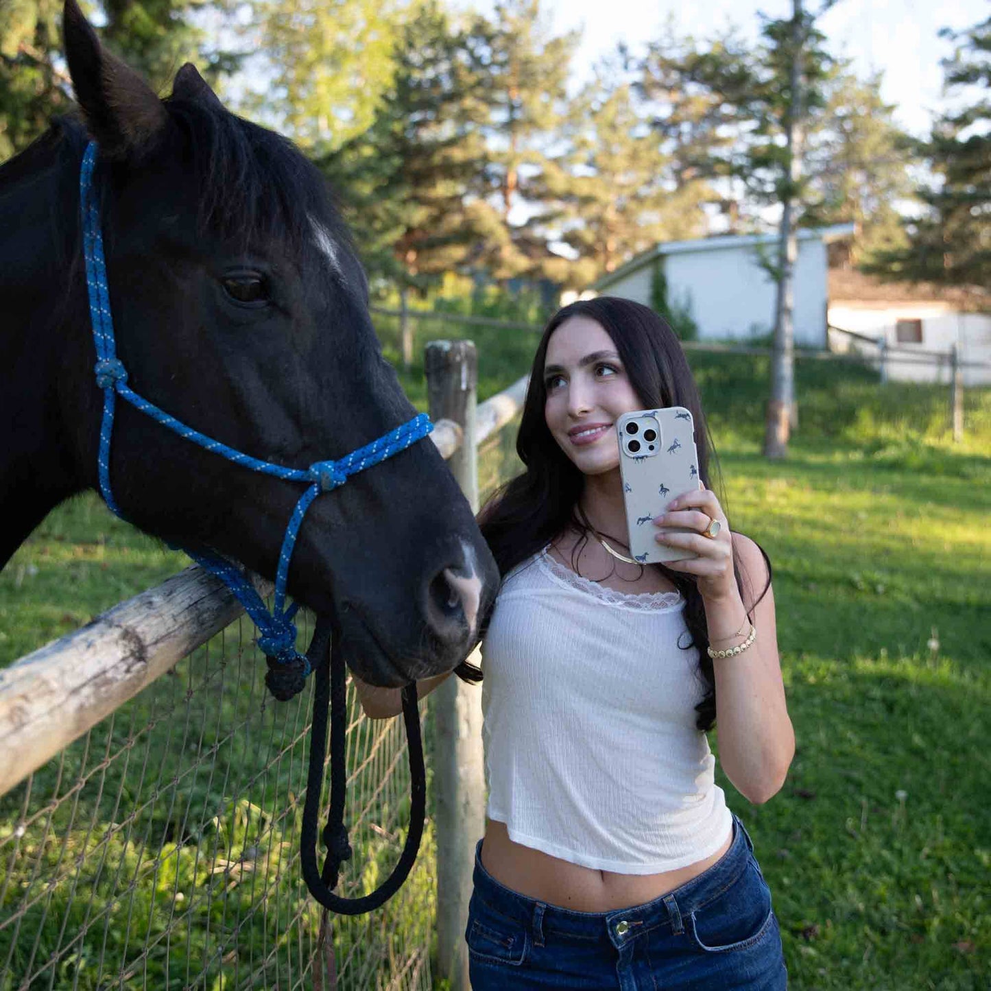 London Fog Mini Horses iPhone 15 Plus Case