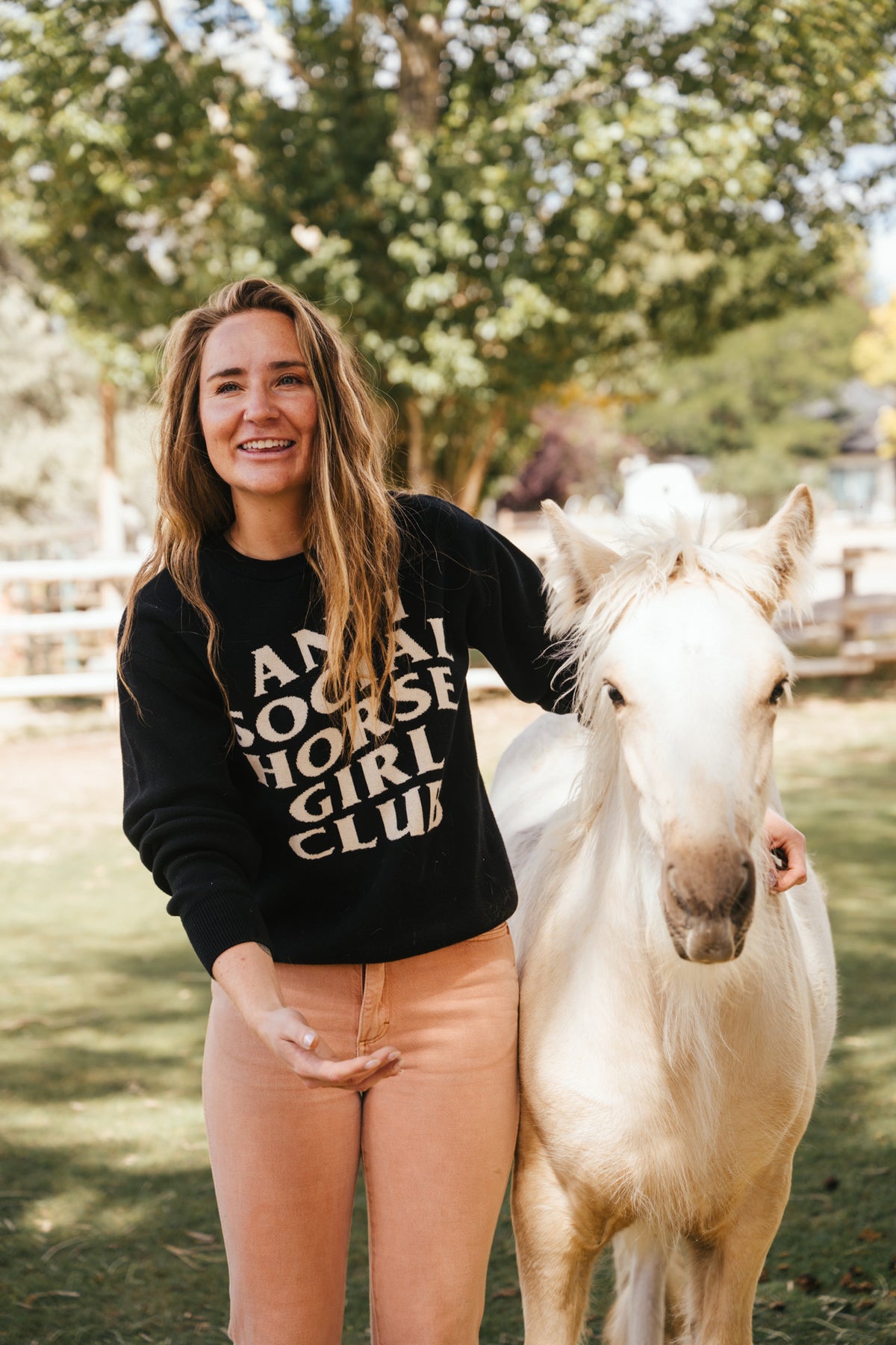 Anti Social Horse Girl Club knit crewneck sweater
