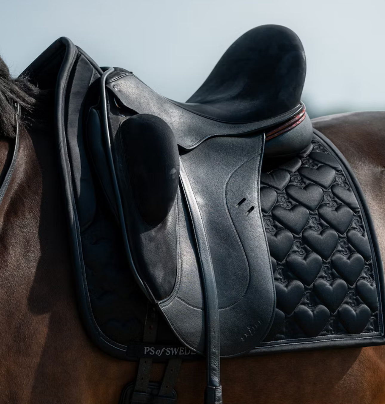 Limited edition heart saddle pad