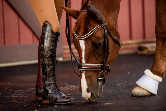 The Catalonia Metallic Bronze Leather Snaffle Bridle