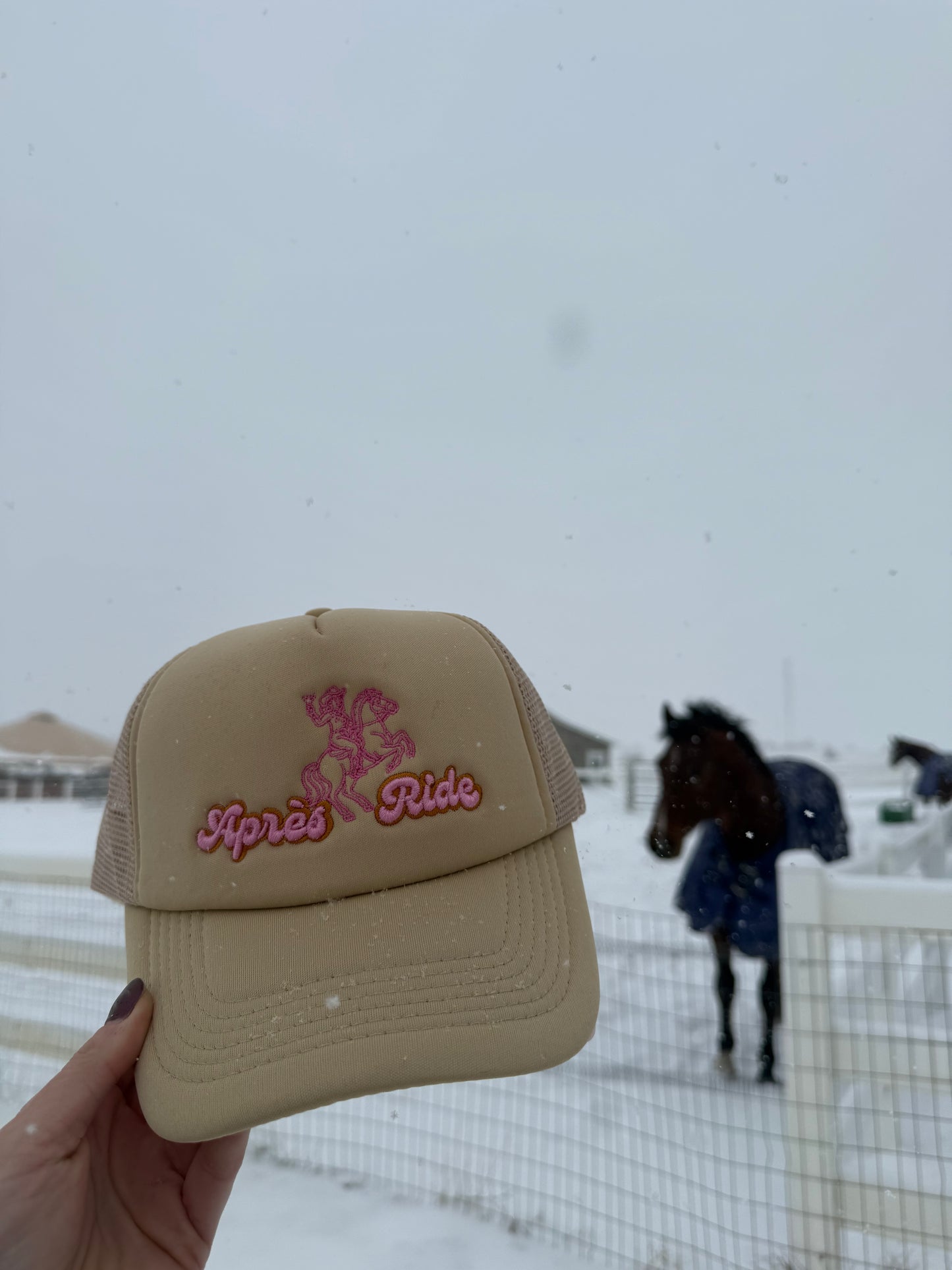 Aprés Ride Trucker