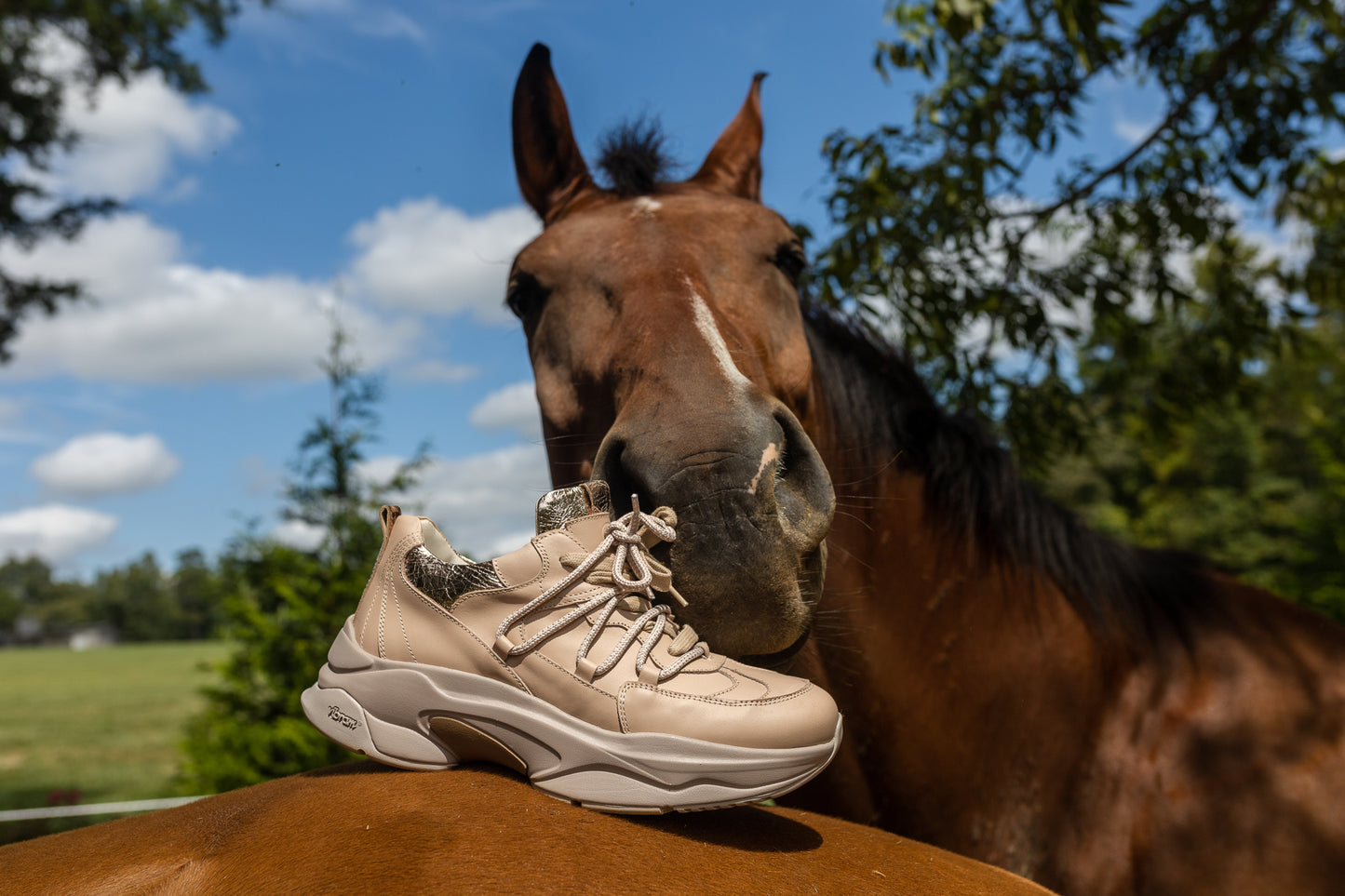 Custom Chunky Sneakers