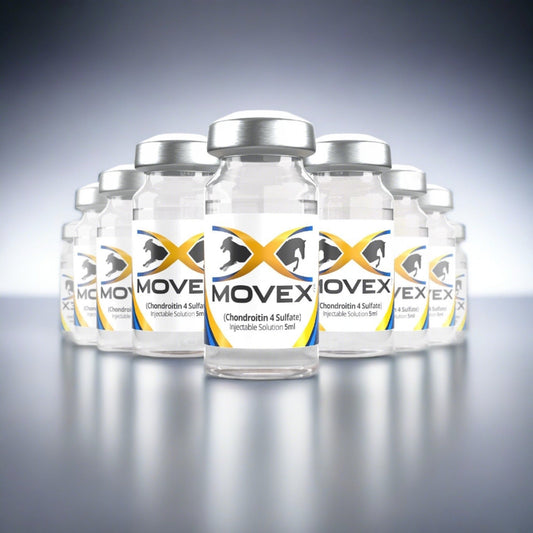 Movex Equine Barn Starter Kit (12 Doses)