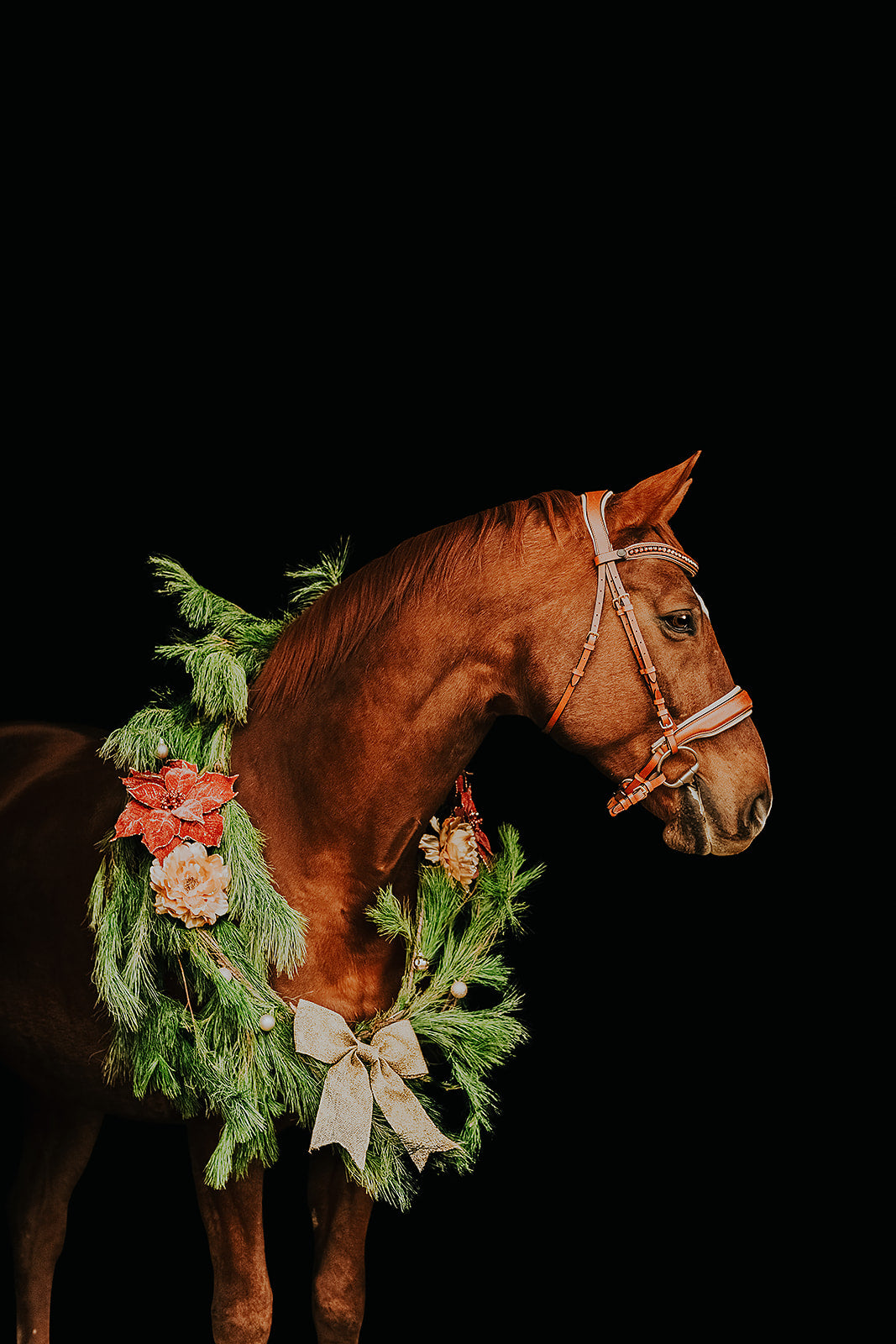 Willow Snaffle Bridle