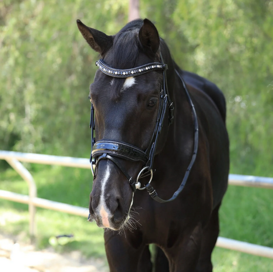 Argentina Black Patent Croc Snaffle