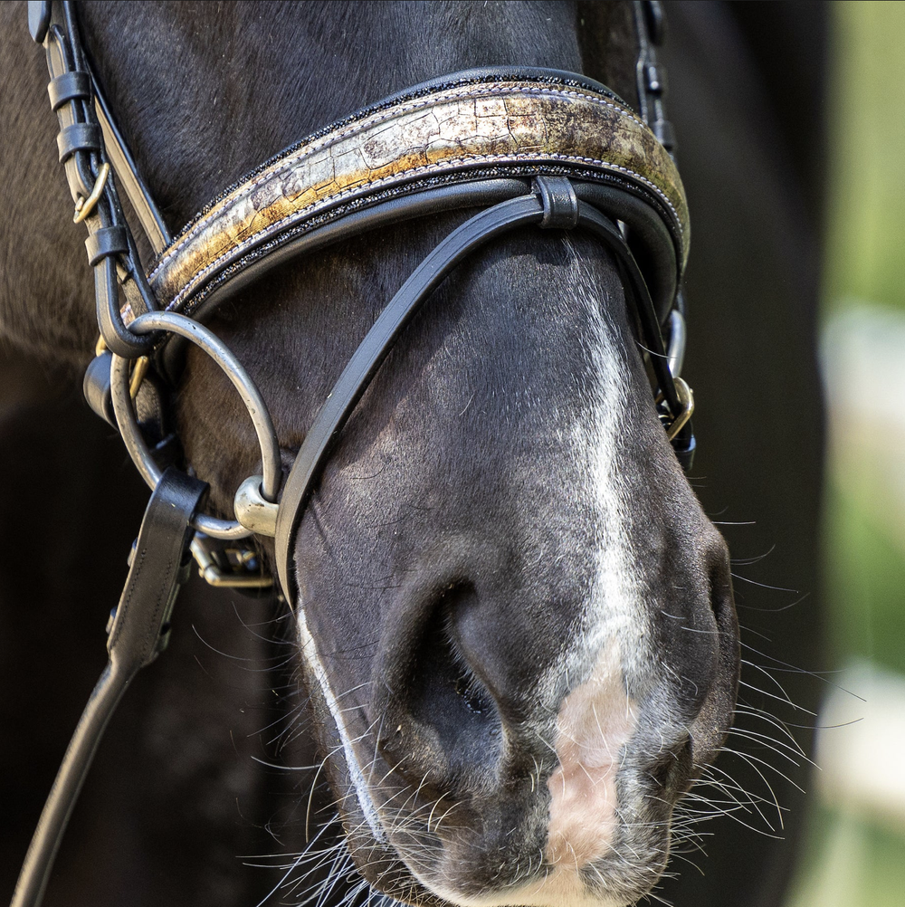 Hermes Rock Crystal Snaffle