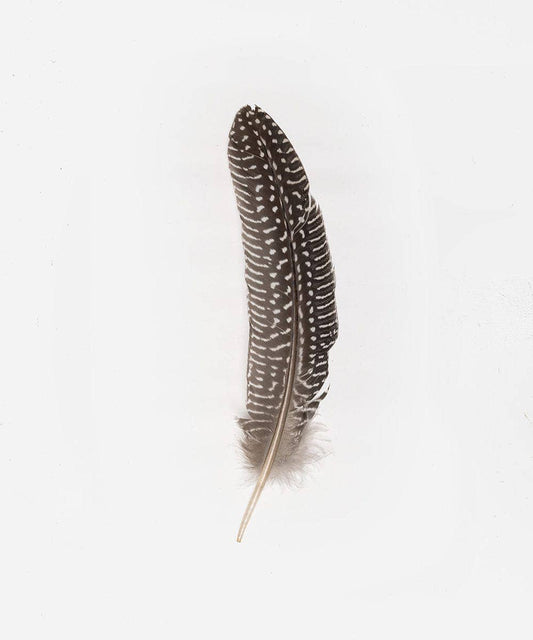 Guinea Rounds Hat Feather