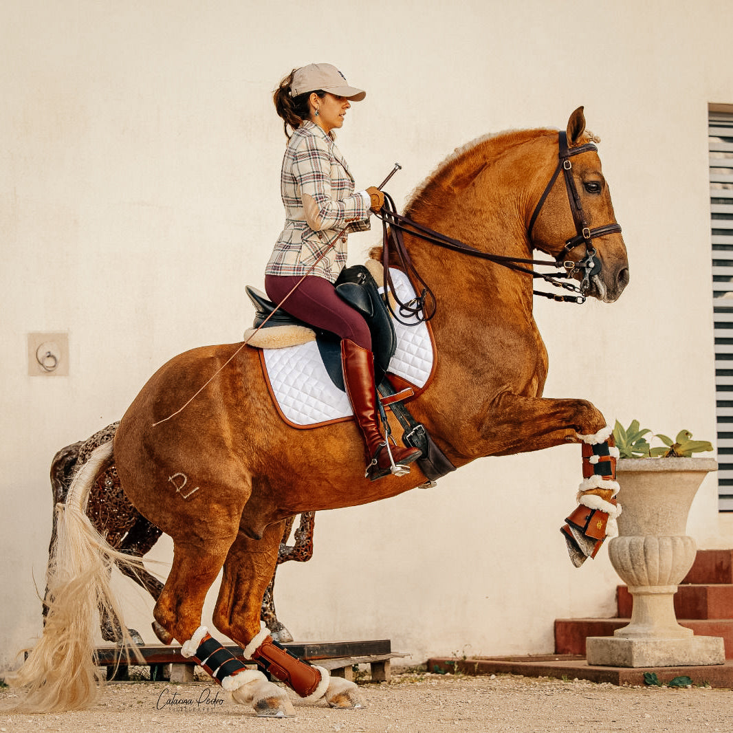 Dressage Pad, White & Cognac