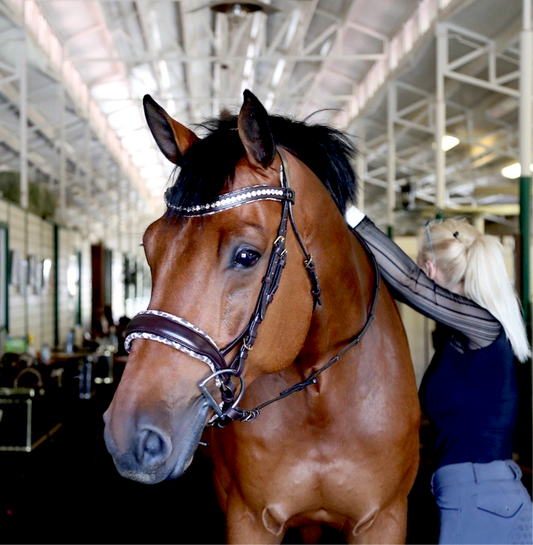 H.M. Safari Snaffle Bridle