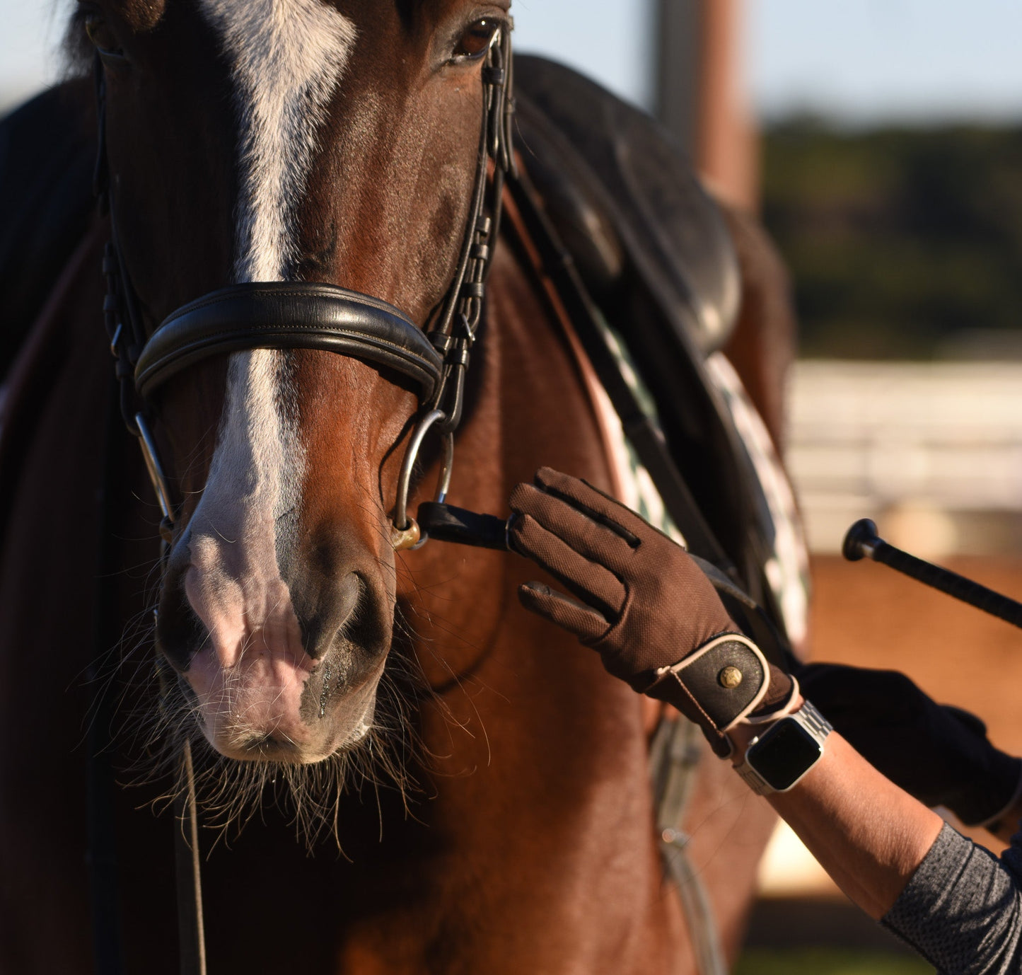 Classic Riding Gloves, Tobacco
