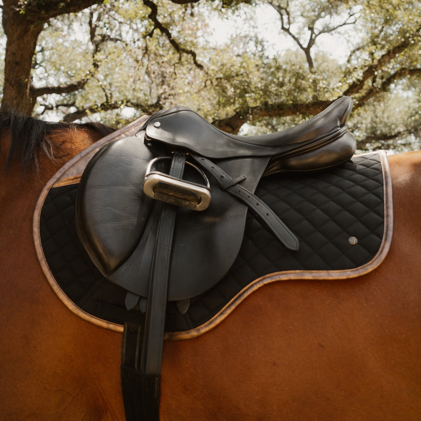 Close Contact, Black & Gold Leaf