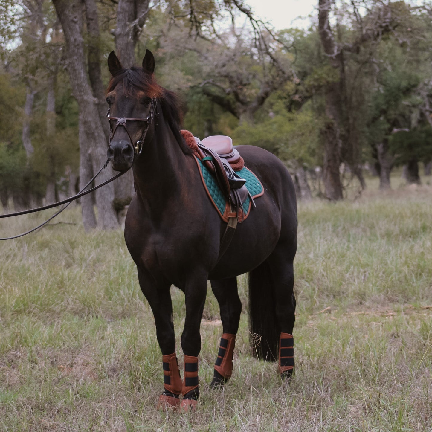 Close Contact pad, Cypress & Cognac