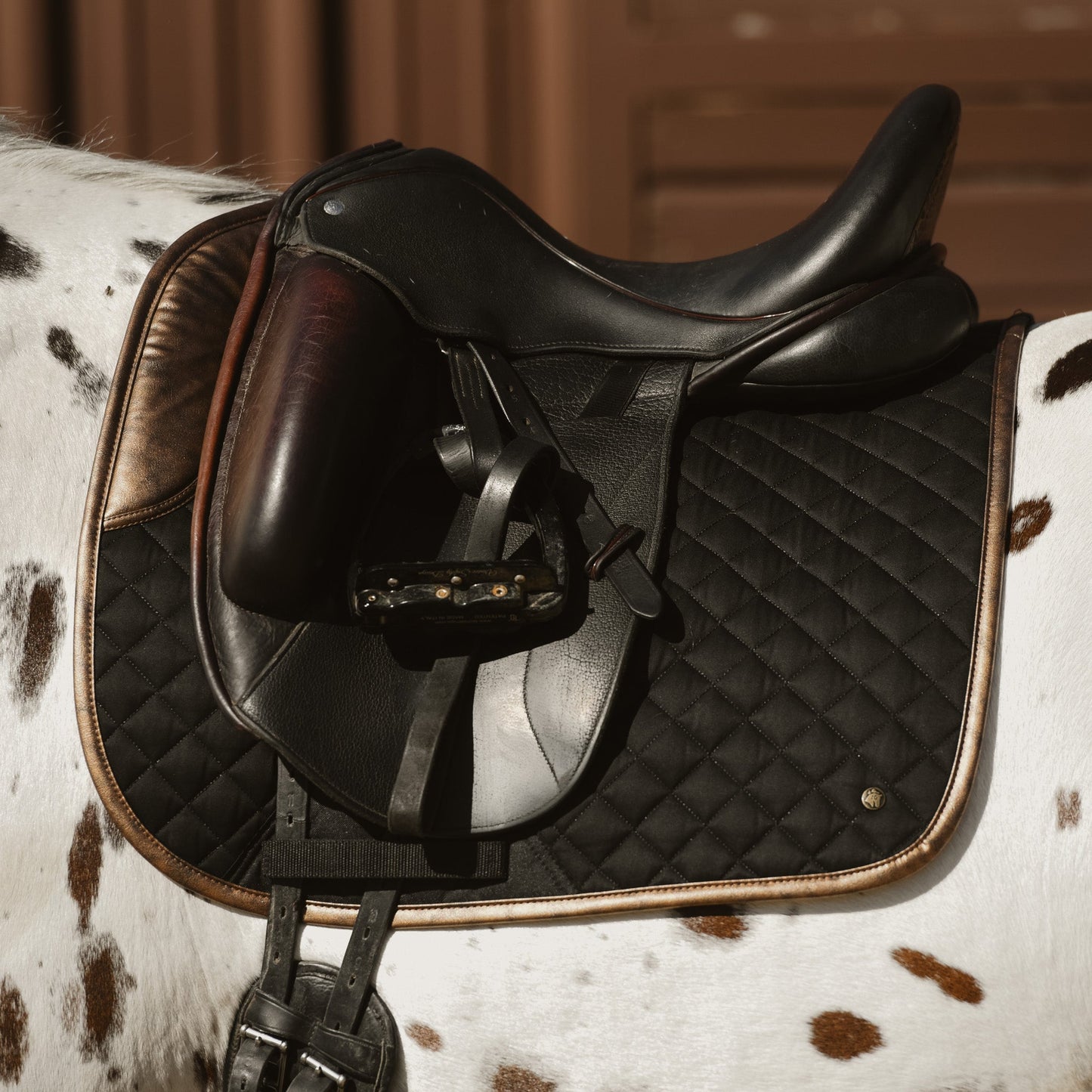 Dressage Pad, Black & Gold Leaf