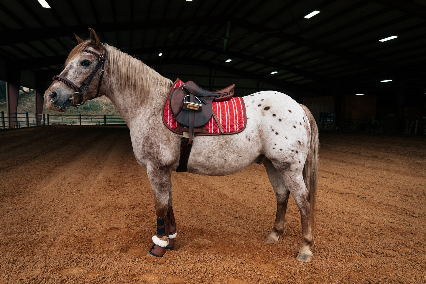 Pony Jumper Pad, Derby Stripe